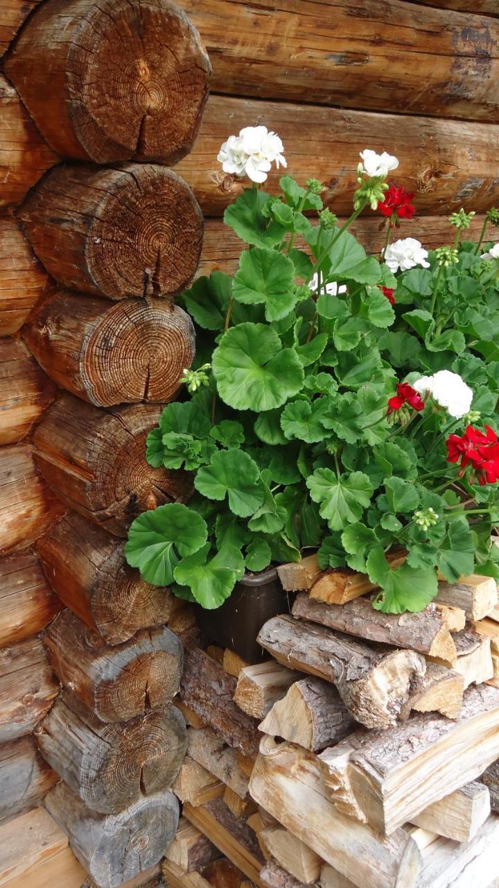 Almnest In Hochfuegen Mit Privat Spa エクステリア 写真